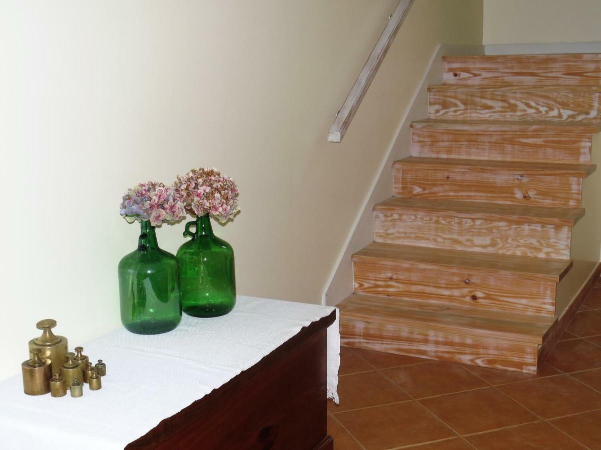 Casa Das Ginjas São Vicente エクステリア 写真